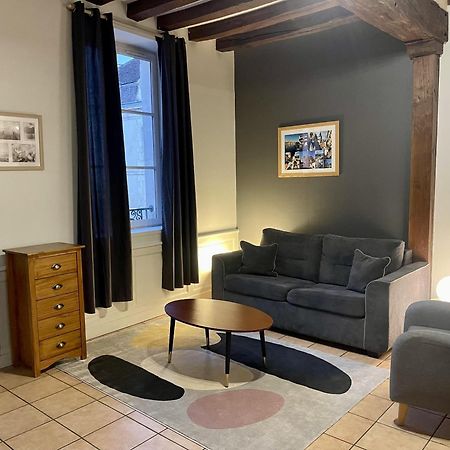 Appartement Le Coche D'Eau Auxerre Les Quais Екстер'єр фото